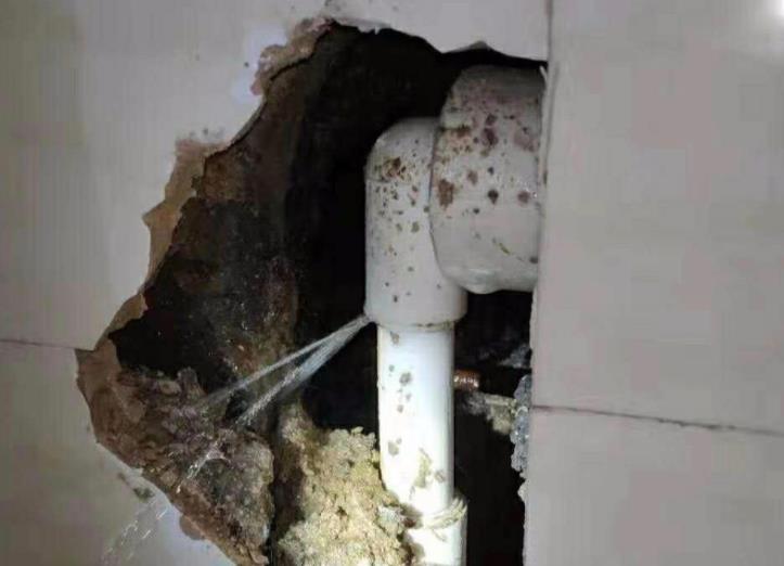 公元水管漏水包賠嗎？選購時別光看牌子！還得看它！